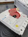 Hase auf EATON Leistungsschalter